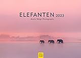 Elefanten Premium Kalender 2023 DIN A3 Wandkalender Tiere Elefant Natur Wildtier Mario Weigt