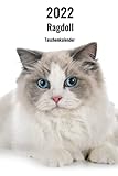 2022 Ragdoll Taschenkalender: 143 Seiten, DIN A5 | 14 Monate Kalender | Terminplaner | Tagebuch | Terminkalender | Wochenkalender | Organizer für Katzenliebhaber