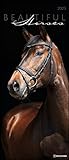 Beautiful Horses 2023 - Foto-Kalender - Wand-Kalender - 30x70: Wild und Schön