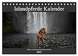 Islandpferde Kalender - Pferde von der Insel aus Feuer und Eis (Tischkalender 2023 DIN A5 quer), Calvendo Monatskalender