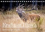 Krafttier Hirsch (Tischkalender 2022 DIN A5 quer)