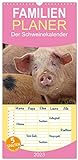 Der Schweinekalender (Wandkalender 2023, 21 cm x 45 cm, hoch) Monatskalender