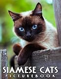 Picture Of Siamese Cats: Siamese Cats 2023-2024 Calendar Bonus 4 Months 2024 Monthly Planner Via Compelling & Impressive Of Adorable Cat Photography ... Images, Space To Organize Your Schedule