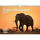 Elefantenzauber DIN A3 Kalender für 2022 Elefanten - Seelenzauber