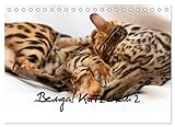 Bengal Kätzchen 2 (Tischkalender 2023 DIN A5 quer), Calvendo Monatskalender