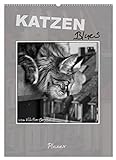 Katzen Blues/Planer (Wandkalender 2023 DIN A2 hoch), Calvendo Monatskalender