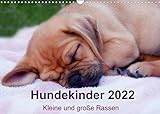 Hundekinder 2022 - Kleine und groÃŸe Rassen (Wandkalender 2022 DIN A3 quer) [Calendar] Bollich, Heidi