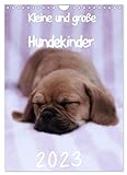 Kleine und große Hundekinder 2023 (Wandkalender 2023 DIN A4 hoch), Calvendo Monatskalender