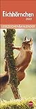 Eichhörnchen Lesezeichen & Kalender 2022 - Tierkalender mit Monatskalendarium - perforierte Kalenderblätter zum Heraustrennen - zum Aufstellen oder Aufhängen - 6 x 18 cm