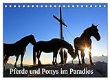 Pferde und Ponys im Paradies (Tischkalender 2023 DIN A5 quer), Calvendo Monatskalender