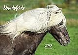 Islandpferde Kalender 2022 DIN A4 Wandkalender Pferde Island Isländer Pony Natur