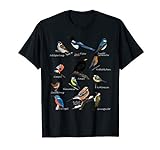 Gartenvögel Vogel Zeichnung Amsel Blaumeise Rotkehlchen T-Shirt