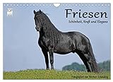 Friesen - Schönheit, Kraft und Eleganz (Wandkalender 2023 DIN A4 quer), Calvendo Monatskalender
