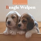 Beagle Welpen Kalender: Kalender 2023 - 8.5x8.5 inches - Geschenke für Familie und Freunde