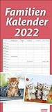 Katzen Familienplaner 2022 - times&more Wandkalender mit Monatskalendarium - 5 Spalten - 21 x 45 cm