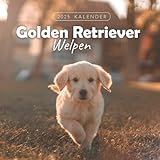 Golden Retriever Welpen Kalender: Kalender 2023 - 8.5x8.5 inches - Geschenke für Familie und Freunde