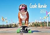 Edition Seidel Coole Hunde Premium Kalender 2023 DIN A3 Wandkalender Hundekalender lustige Sprüche Motivation