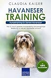 Havaneser Training - Hundetraining für Deinen Havaneser: Wie Du durch gezieltes Hundetraining eine einzigartige Beziehung zu Deinem Hund aufbaust