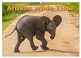 Afrikas wilde Tiere (Wandkalender 2023 DIN A2 quer), Calvendo Monatskalender