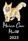 Maine Coon Mom 2023: Kalender Katzen Terminplaner Maine Coon Katze Terminkalender Wochenplaner, Monatsplaner & Jahresplaner für Katzenfrauchen & ... Schule Studium Beruf Geschenk für Katzenmama