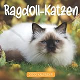 Ragdoll-Katzen Kalender 2022: 12-Monats-Kalender von Jan 2022 bis Dez 2022. Platz für Notizen. Es ist ein perfektes Geschenk für einen geliebten Menschen