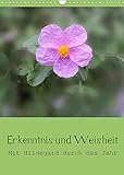 Erkenntnis und Weisheit - Hildegard von Bingen (Wandkalender 2022 DIN A3 hoch) [Calendar] Bergmann, Christine