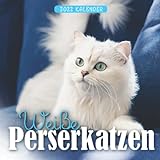 Weiße Perserkatzen Kalender 2022: 12-Monats-Kalender von Jan 2022 bis Dez 2022. Platz für Notizen. Es ist ein perfektes Geschenk für einen geliebten Menschen