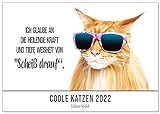 Edition Seidel coole Katzen mit Sprüchen Premium Kalender 2022 DIN A3 Wandkalender Katzenkalender