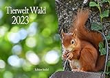Edition Seidel Tierwelt Wald Premium Kalender 2023 DIN A3 Wandkalender Tiere im Wald Waldtiere Wildtiere