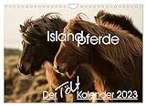 Islandpferde - Der Tölt Kalender (Wandkalender 2023 DIN A4 quer), Calvendo Monatskalender