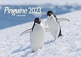 Pinguine Premium Kalender 2023 DIN A4 Wandkalender Natur Tiere Pinguin Vogel Seevogel Neuseeland Eis Schnee