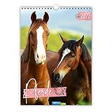 9783673724183 Wandkalender Kaltblüter Schwere Pferde mit Charme 