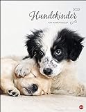 Hundekinder Posterkalender 2022 von Monika Wegler - niedlicher Tier-Wandkalender mit vielen Fotos und lustigen Mini-Geschichten - mit Monatskalendarium - 34 x 44 cm
