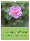 Erkenntnis und Weisheit - Hildegard von Bingen (Wandkalender 2023 DIN A4 hoch), Calvendo Monatskalender