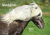 Islandpferde Premium Kalender 2023 DIN A4 Wandkalender Island Tiere Pferde Isländer Pony Natur