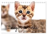 Bengal Kätzchen - Der Geburtstagskalender (Tischkalender 2023 DIN A5 quer), Calvendo Monatskalender