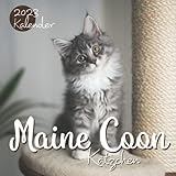 Maine Coon Kätzchen Kalender 2023: 18-Monats-Kalender von Juli 2022 bis Dezember 2023 - Behalten Sie den Überblick über wichtige Details, Notizen und Termine