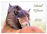 Islandpferde (Wandkalender 2023 DIN A3 quer) Monatskalender