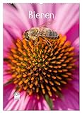 Bienenkalender (Wandkalender 2023 DIN A2 hoch), Calvendo Monatskalender