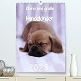 Kleine und große Hundekinder 2023 (Premium, hochwertiger DIN A2 Wandkalender 2023, Kunstdruck in Hochglanz)