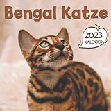Bengal Katze Kalender 2023: 18-Monats-Kalender von Juli 2022 bis Dezember 2023 - Behalten Sie den Überblick über wichtige Details, Notizen und Termine