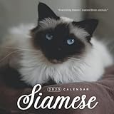 Siamese 2023 Calendar: Great Calendar 2023 - Gift for Family, Friends and Yourself - Thick and Glossy Paper - Home & Office Organizer - Large Monthly Grid - Mini size 7x7 inches