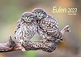 Eulen Premium Kalender 2023 DIN A4 Wandkalender Hühnerkalender Eulenkalender Tiere Wald Eule Uhu Vogel Natur Wiese