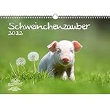 Schweinchenzauber DIN A3 Kalender für 2022 Schweinchen - Seelenzauber