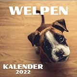 Welpen 2022 Kalender: Mit Deutschland Feiertagen Januar 2022 - Dezember 2022 Kalender Geschenk für Welpen-Liebhaber
