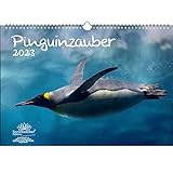 Pinguinzauber DIN A3 Kalender für 2023 Pinguin - Seelenzauber