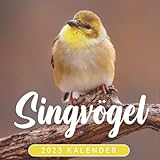 Singvögel Kalender 2023: Wunderschöner Mini-Kalender 2023 im Format 8,5 x 8,5' mit herrlichen, vollfarbigen Fotos