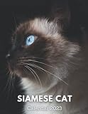 Siamese Cat Calendar 2023: 12 Month Calendar with High Quality Images, Good for Notes and Planing