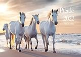 Edition Seidel Pferde Premium Kalender 2022 DIN A3 Wandkalender Pferdekalender Tiere Pony