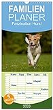 Faszination Hund (Wandkalender 2023, 21 cm x 45 cm, hoch) Monatskalender